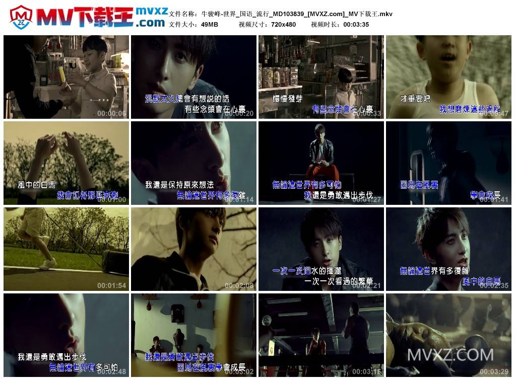 牛骏峰-世界_国语_流行_MD103839